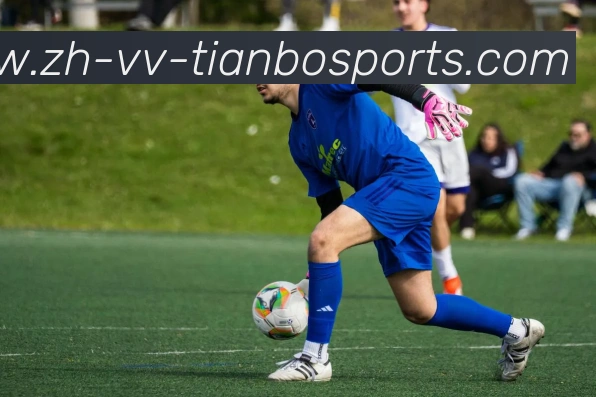 App Interface Preview