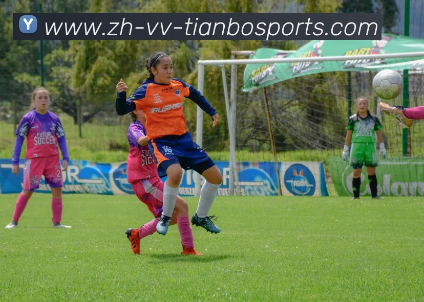 天博体育APP 封面图